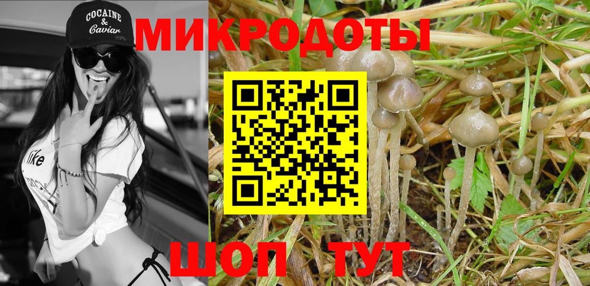 дарнет шоп  Псилоцибиновые грибы прущие грибы  Вход с VPN  Магнитогорск 
