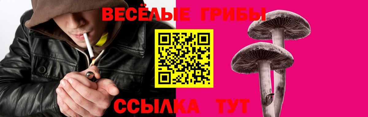 Галлюциногенные грибы Psilocybine cubensis Магнитогорск